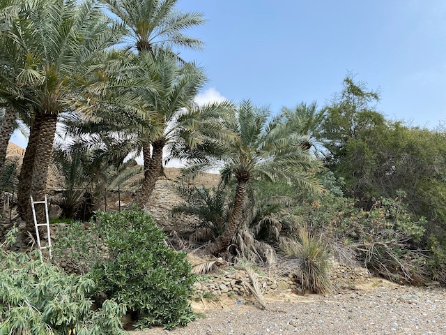 Wadi at Al Nahwa