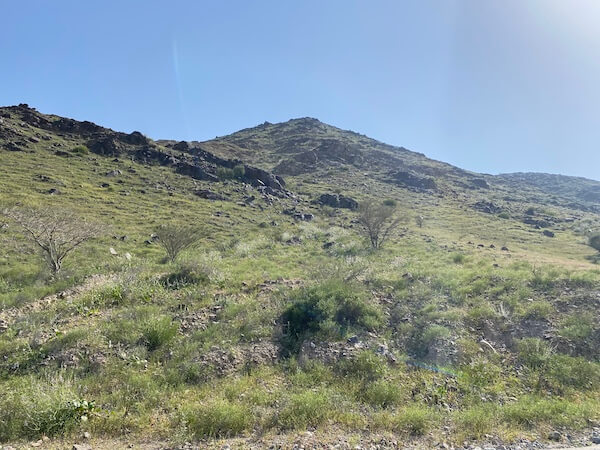al hayl mountains covered in greenery in spring 2023