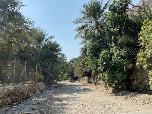 farming area madha oman near wadi shees