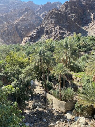 farming area mountain wadi shees