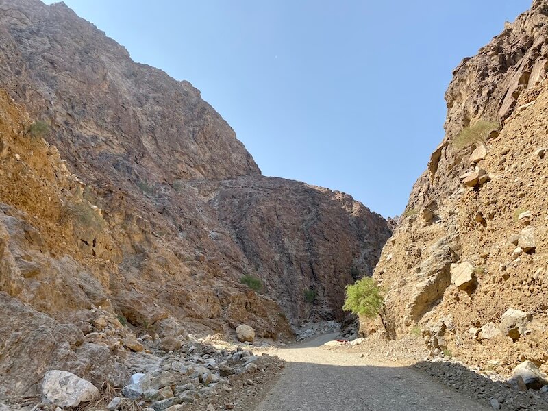 wadi road at wadi shees