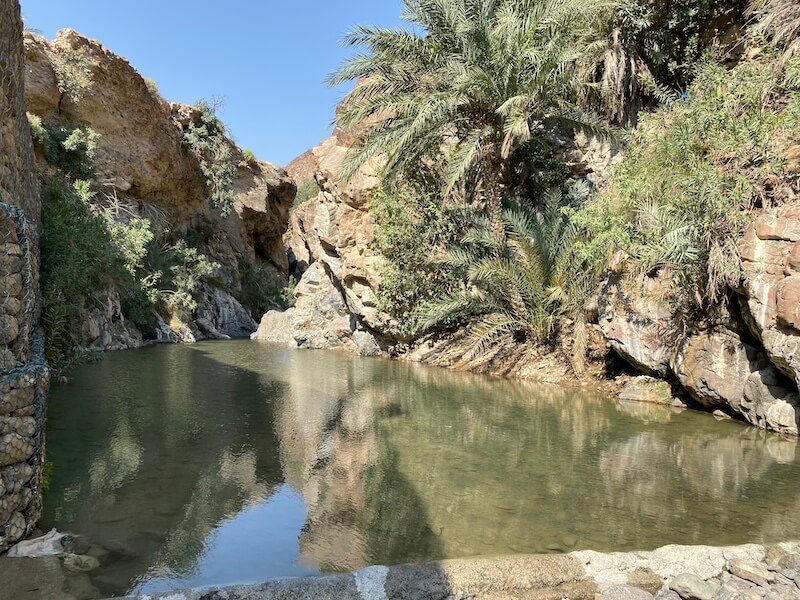 wadi shees pool