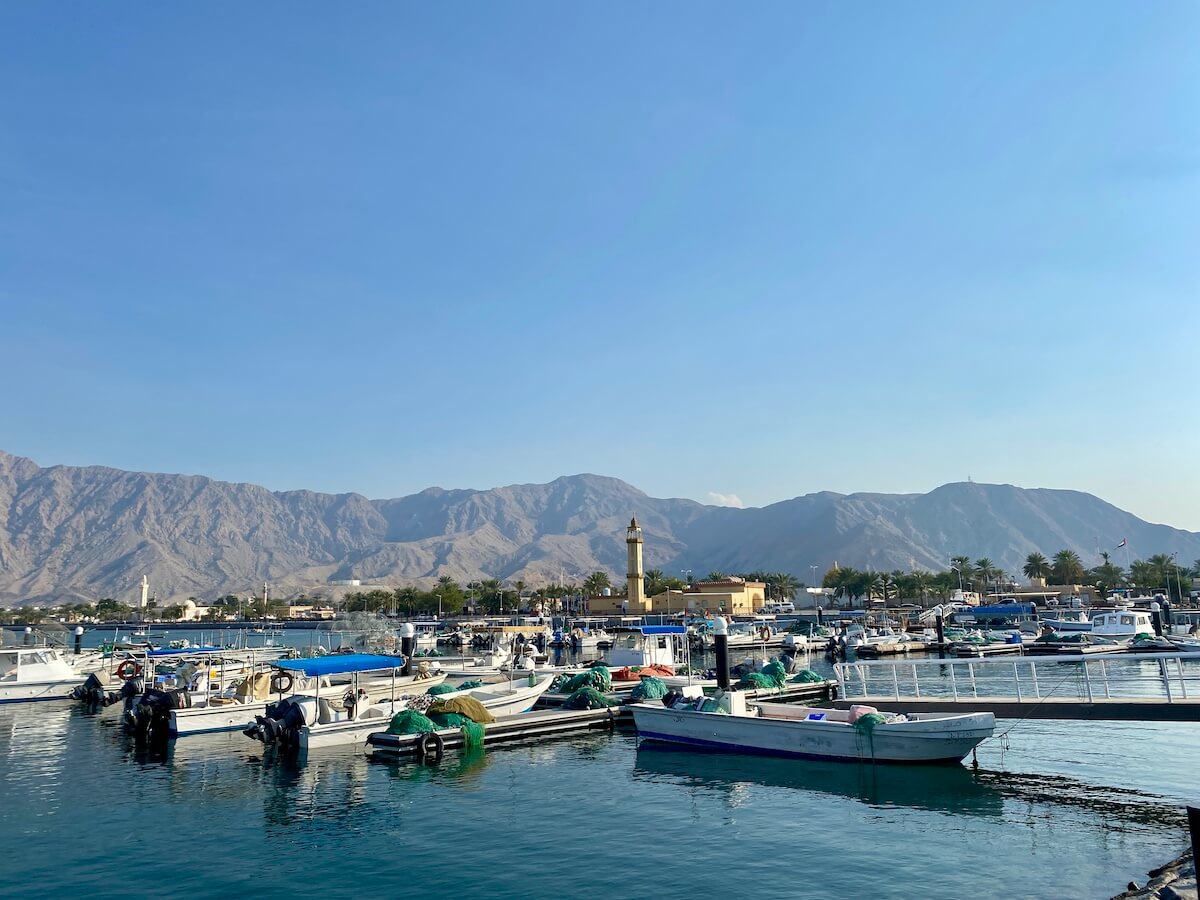 View of bay over Rams with fishing boats in foreground and mountains in background