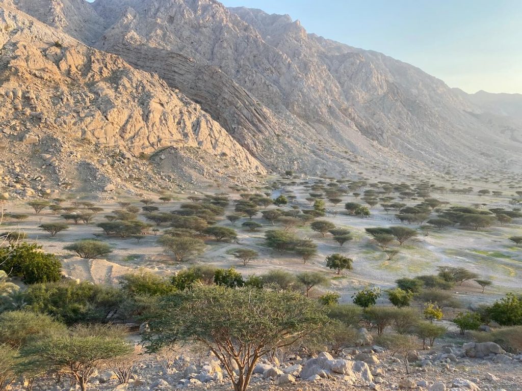 Rams RAK, discover this scenic fishing village (2024)