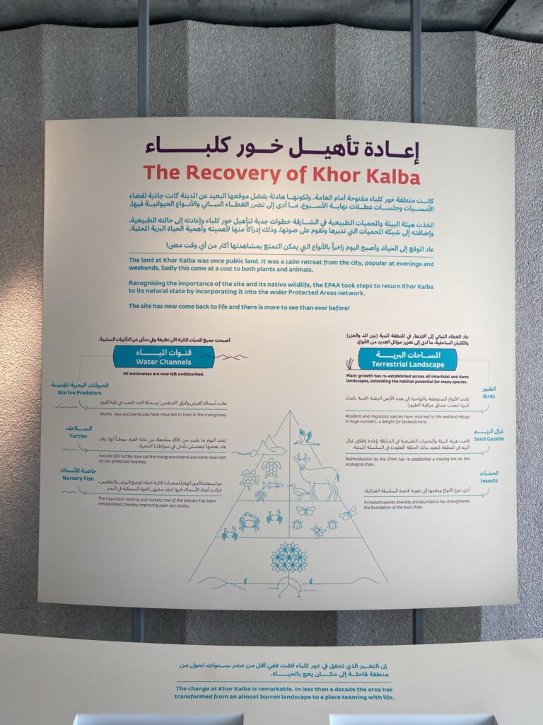 The Recovery of Khor Kalba