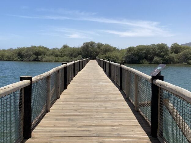 Footbridge at Khor Kalba Mangrove Centre across to the mangrove trail, blue water of the creek on either side.