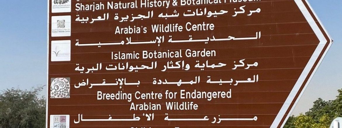 Sharjah Natural history museum
