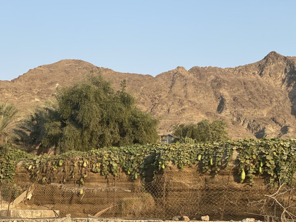 Al Ghayl offroad route off the E18 with mesmerizing scenery 2023