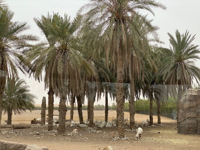 Sharjah Wildlife Park