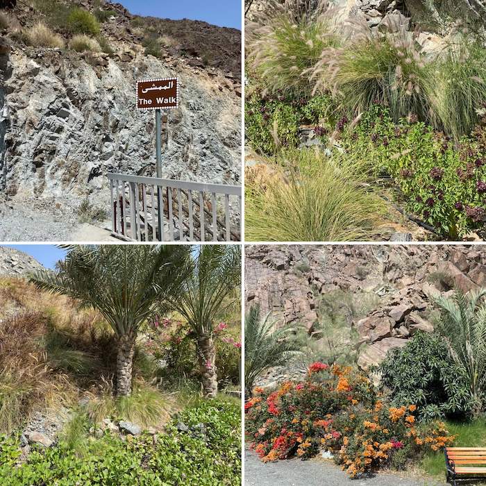 Collage of The Walk at Rafisa Dam Khorfakkan showing foliage and benches