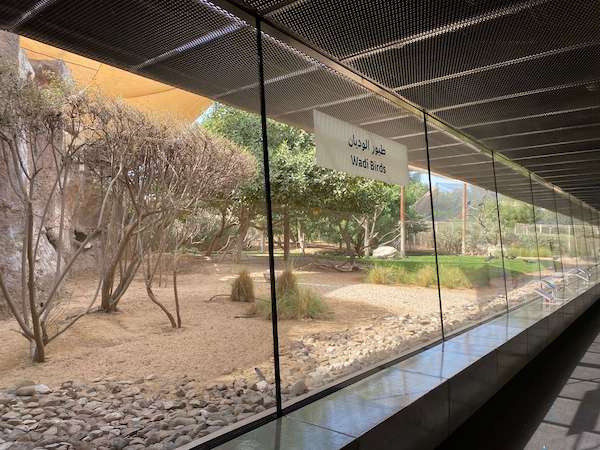 corridor along outdoor aviary at Wasit Wetlands Centre, Sharjah