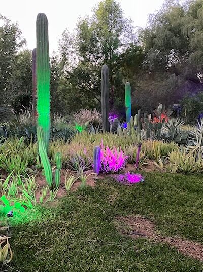 cacti lit up on al noor island sharjah