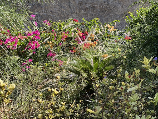 colourful foliage at rafisa dam