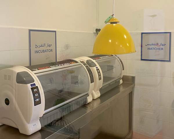 incubation room at Wasit Wetlands Centre Sharjah