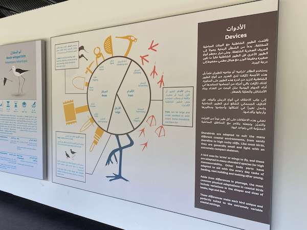 info board at Wasit Wetlands Centre Sharjah