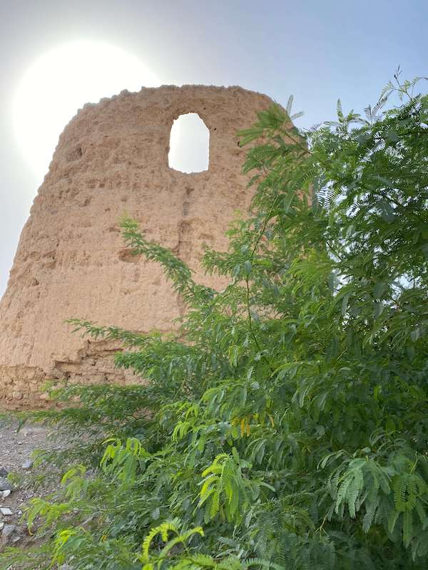 Old mud watchtower at Khatt, Ras al Khaimah