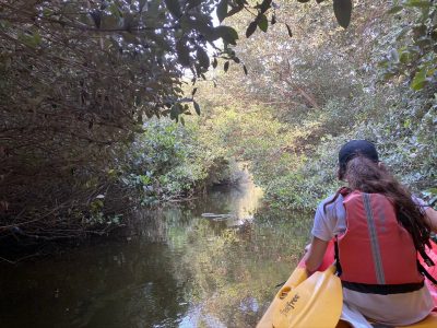 Kayaking in Ajman with Quest for Adventure