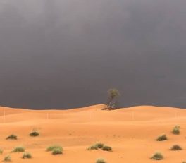 why does the UAE need rain?