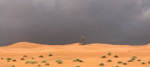 why does the UAE need rain?