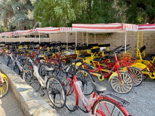 Bikes for rent at Al Ain Oasis