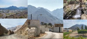 Madha Oman collage