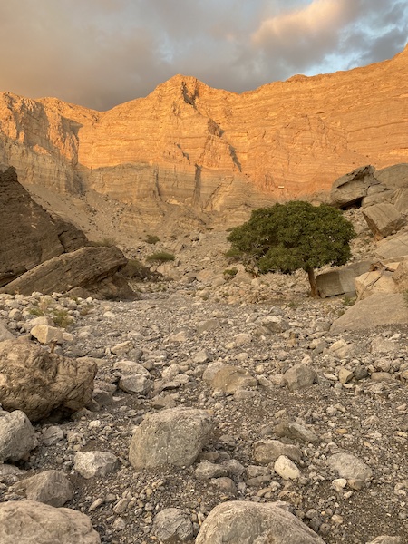 wadi shaam hiking