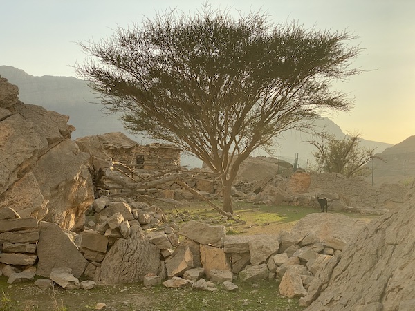 wadi shaam old village rak
