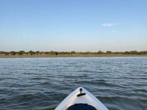 Photo of kayaking towards mangroves  linking to the outdoors page