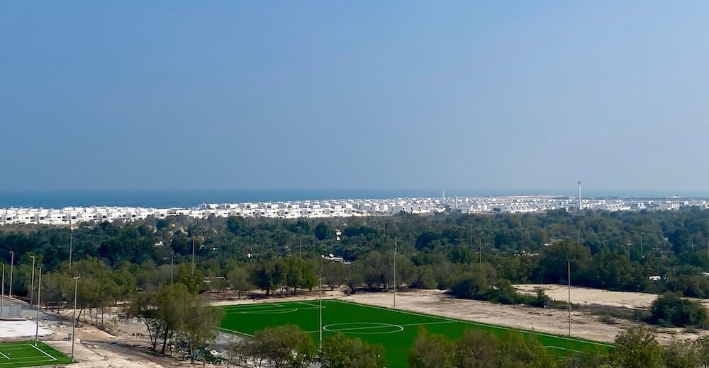 residential develoment, palm forest and Arabian gulf at Al Mirfa Al Dhafra Abu Dhabi

