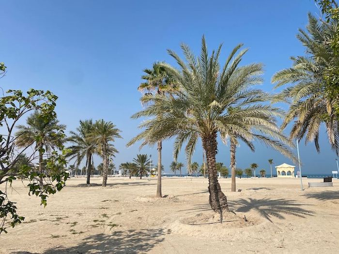 al mirfa beach abu dhabi, golden sands and palm trees