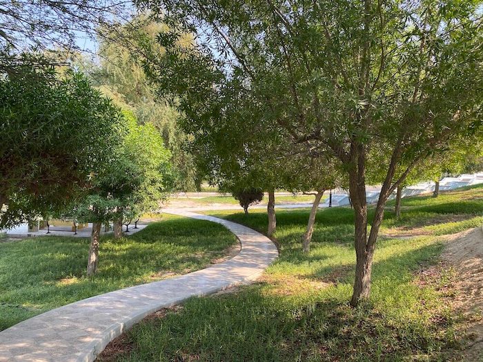 Al Mirfa City Walk, path through trees and green area