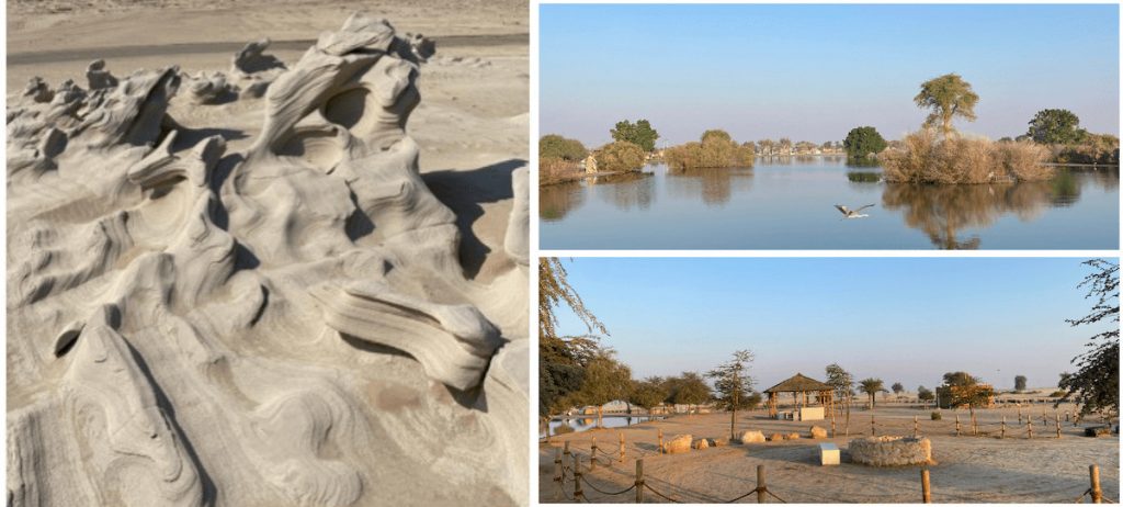 al wathba abu dhabi, collage of fossil dunes, camping ground and lake