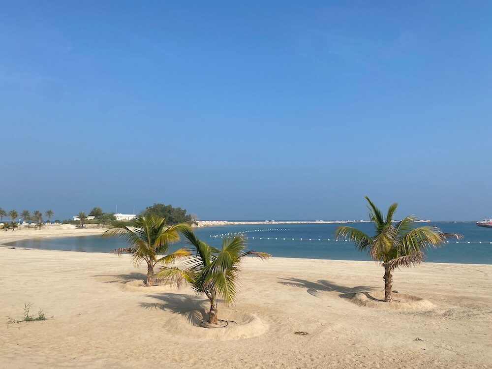 palm trees on mirfa beach going round bay 
near al mirfa port
