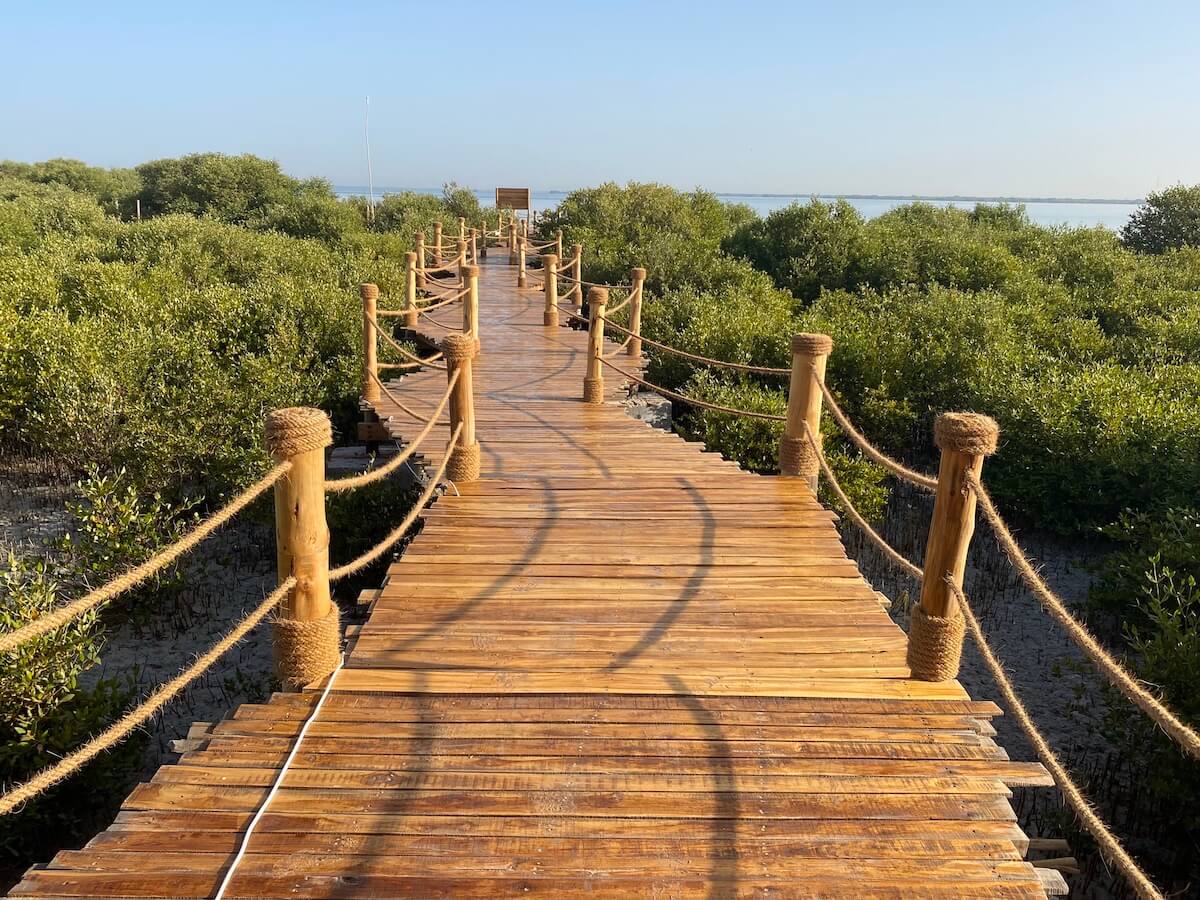 walkway through the Mangrove forest,  leading the resort of Casa Mikoko