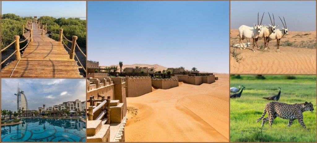 Eco-Friendly Retreats in UAE, collage showing retreats