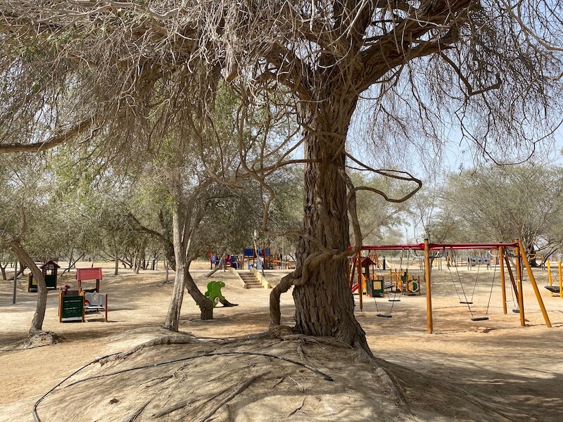 Tree and sandy play area with wooden play equipment at Hefaiya Picnic park Kalba